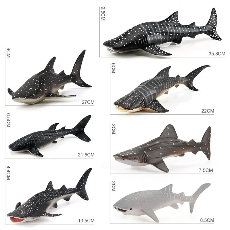 Simulatie Zeedieren Walvishaai Model Actiefiguren Oceaan Aquarium Miniatuur Beeldjes Educatief Speelgoed Kinderen Volwassen Geschenken