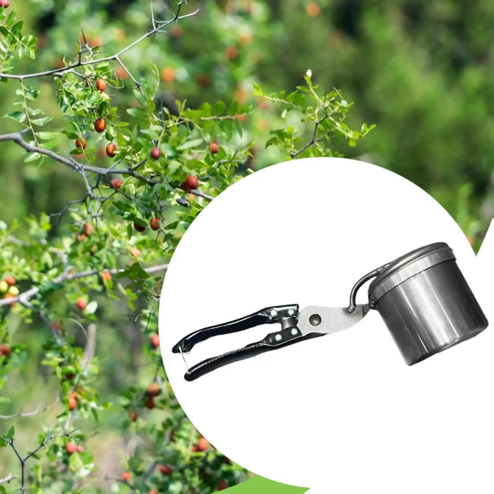 Raccoglitrice di frutta versatile pratica manuale in acciaio inossidabile per giardino agricolo