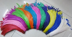 Wholesales  500PCS Rooster Tail Feathers 14-16inches 35-40CM 25-30CM 30-35CM For Colored  Costume&Mask