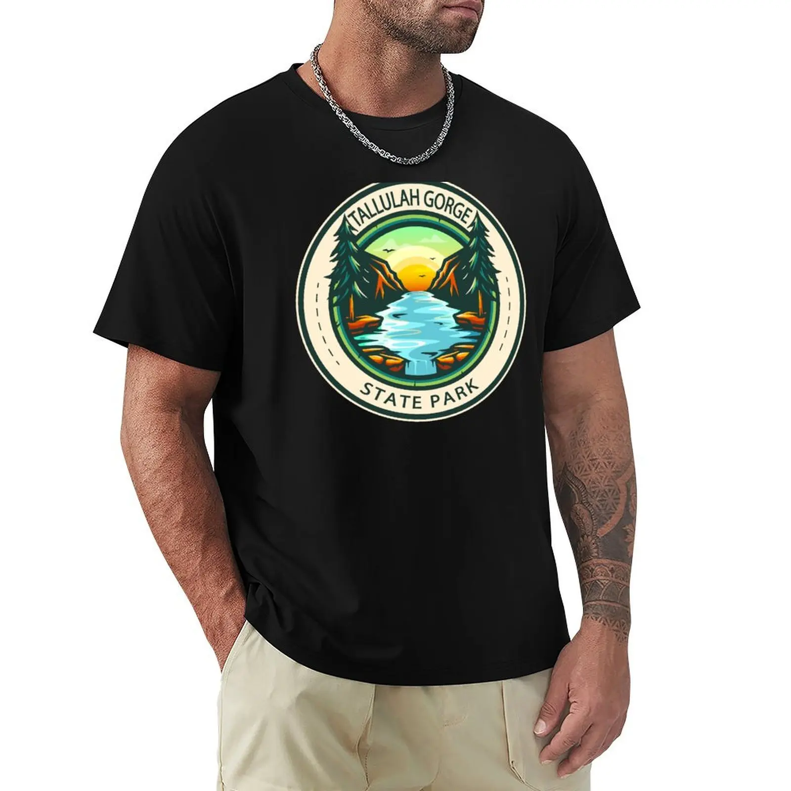 Tallulah Gorge State Park Georgia Badge T-Shirt Athletic Quick Dry T-Shirt for Men