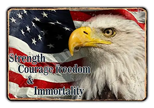 

Vintage Bald Eagle USA American Flag Strength Courage Freedom and Immortality Metal Tin Sign for Home Bedroom Kitchen Bar Club P