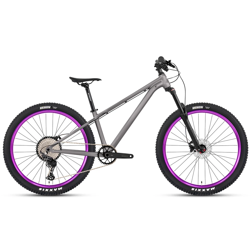 

OEM RIDE Aluminum Mountain Bike 29er /27.5er Mtb Bicicleta M6100/12S Aluminum Alloy Frame Bicycle for Adult