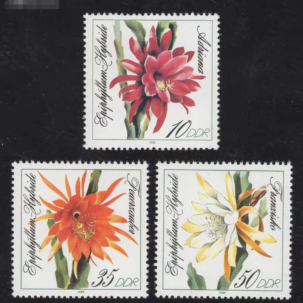 3 unids/set nuevo sello postal DDR 1989 sellos postales Epiphyllum MNH