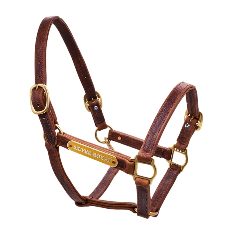 Cưỡi Ngựa Halter Bạc Hoàng Gia Dây Thiết Bị Horse Vòi Nước Da Điều Chỉnh Khóa Dây Da Bền