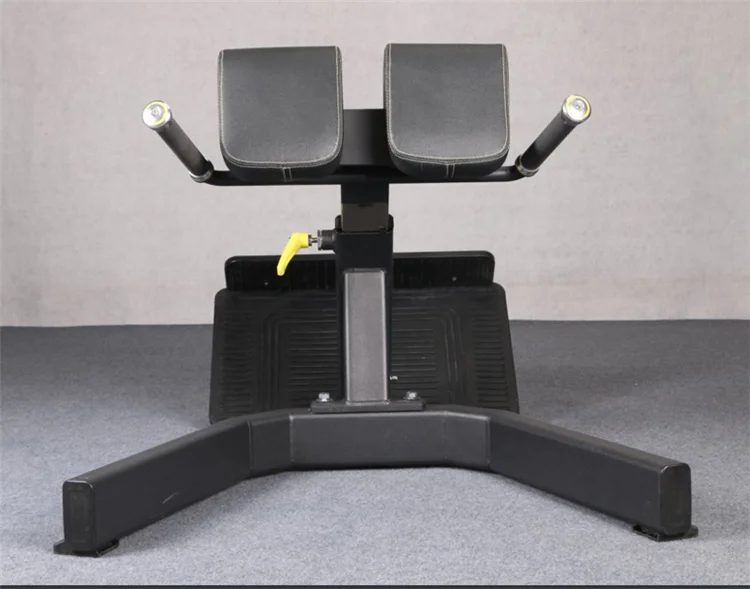 Commercial Home Gym Use Extension Roman Chair Multi-Functional Bench for Full All-in-One Body Workout Adjustable Ab Sit up Bench