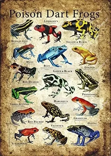 

Metal Sign Poison Dart Frogs Cute Signboard Endangered Animals home decor vintage decor posters