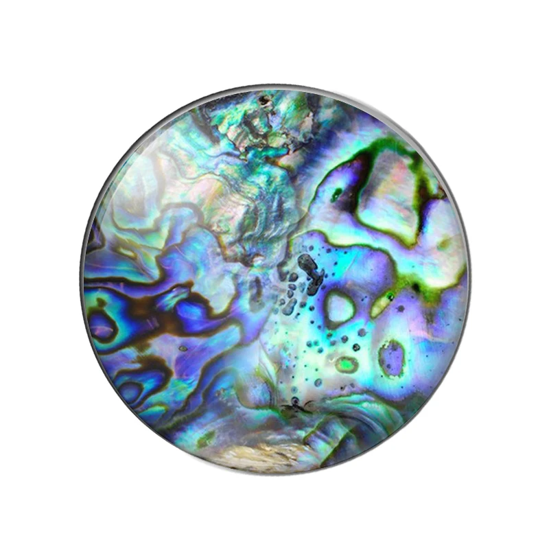 New Seashell abalone paua 10pcs 12mm/14mm/16mm/18mm20mm//25mm Round photo glass cabochon demo flat back Making findings