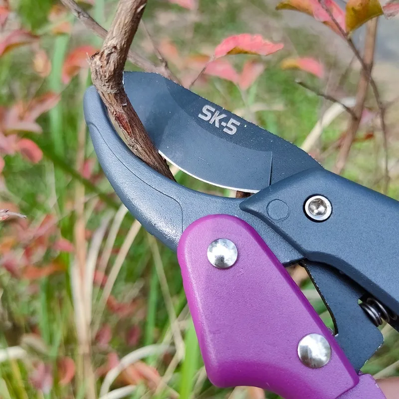 BIESUO SK5 Pruning Scissors Gardening Scissors Save Effort Sharp Fruit Tree Pruning Professional Orchard Gardening Tools