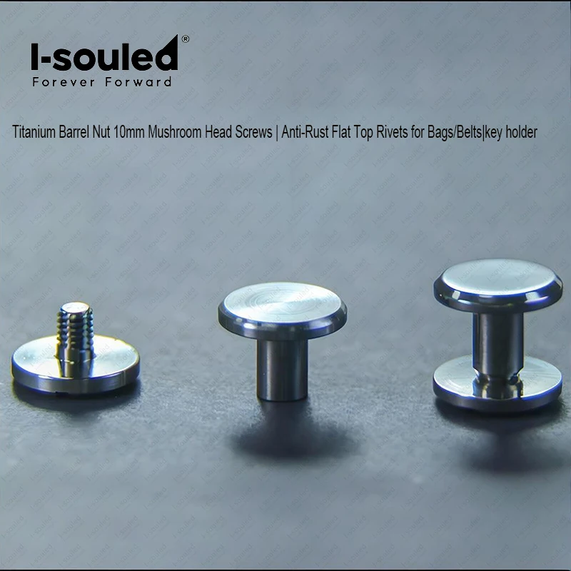 2 PCS Titanium Barrel Nut 10mm Mushroom Head Screws | Anti-Rust Flat Top Rivets for Bags/Belts