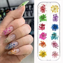 12Grid-3D Dried Flower for Nail Sticker Charms Natural Floral Mix Dry Flower DIY Colorful Decals UV Gel Polish Nail Art Manicure