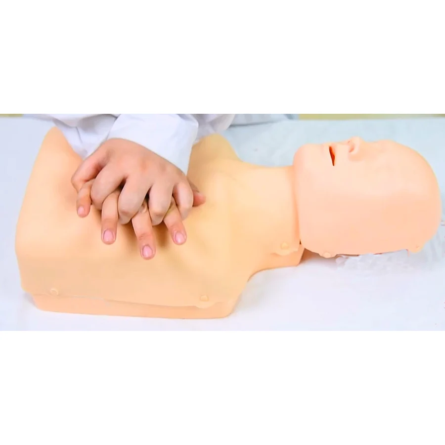 

Half Body CPR Training Manikin,Simple Cardiopulmonary Resuscitation Simulated Simulator