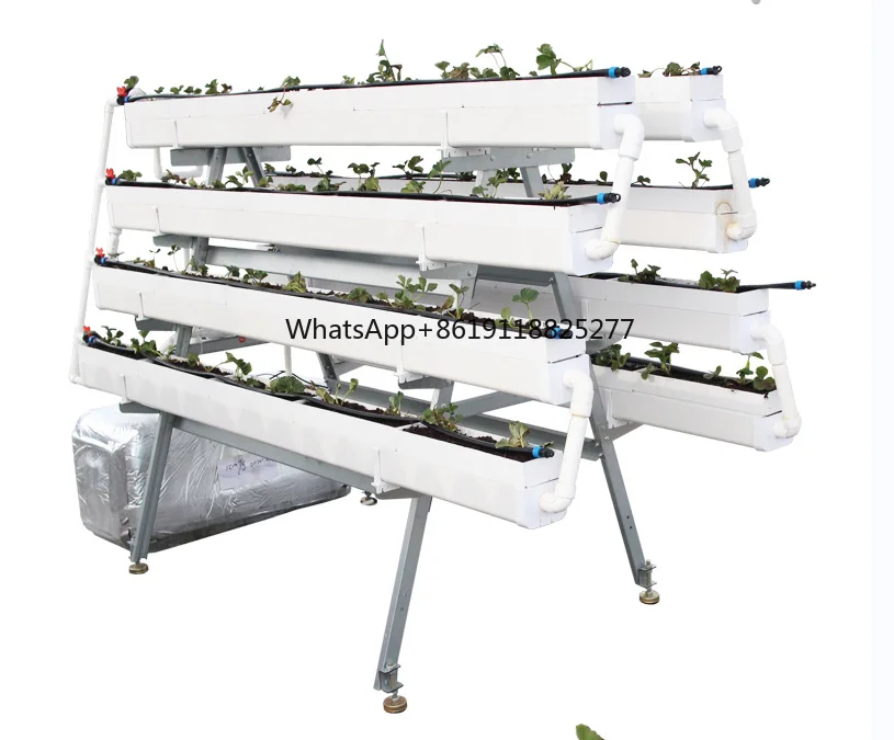 Inteligente Automático Hidropônico Crescer Kit, Sistema Interno, Equipamento De Horticultura Doméstica Para Plantas Hidropônicas Interiores