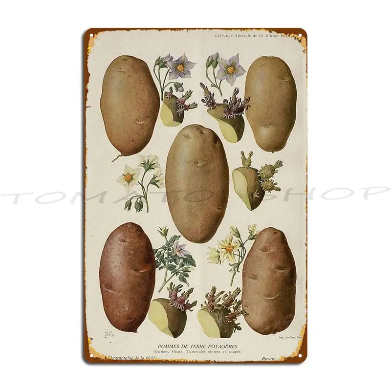 We Potatoes Weird Shaped Potatoes Anatomy of a good Metal Sign Kitchen Wall Decor Mural Club Character  Tin Sign Poster