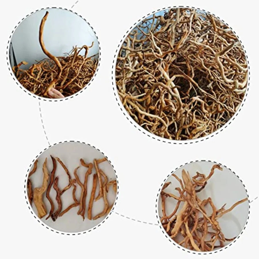 5 قطعة حوض السمك Driftwoods تورال Driftwood خزان الأسماك الزينة الصلبة الزواحف الخشب فروع لخزان الأسماك الأسماك الصغيرة إخفاء