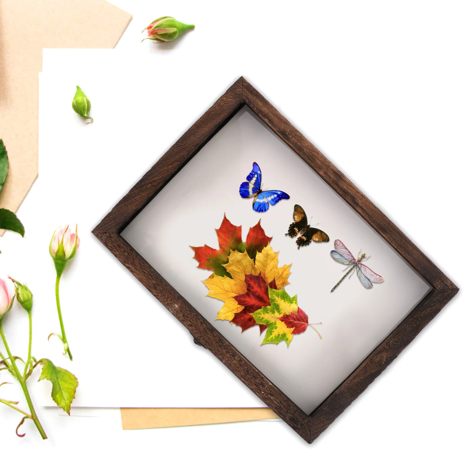 

TOPPERFUN Solid Wood Insect Specimen Box 12.18x8.65x1.57in Retro Display Case for Butterflies Plants Storage Home Decor