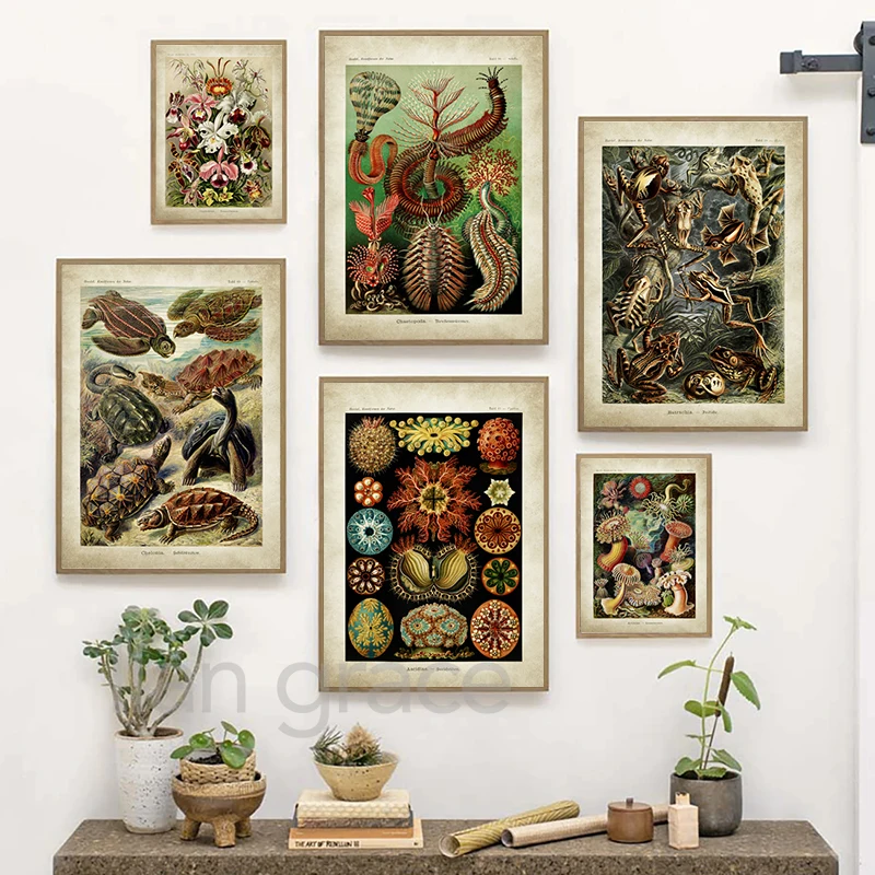 Ernst هايكل علم الأحياء الملصقات شجرة النخيل يطبع خمر الطنان النباتية الاستوائية الرسم على لوحات القماش الجدارية صور ديكور #3