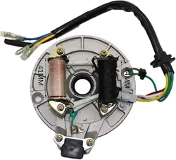 2 Coil Ignition Magneto Stator Plate for 50cc 70cc 90cc 110cc 125cc Taotao Kazuma SSR Baja ATV Quad Dirt Kick Bike 4 Wheeler