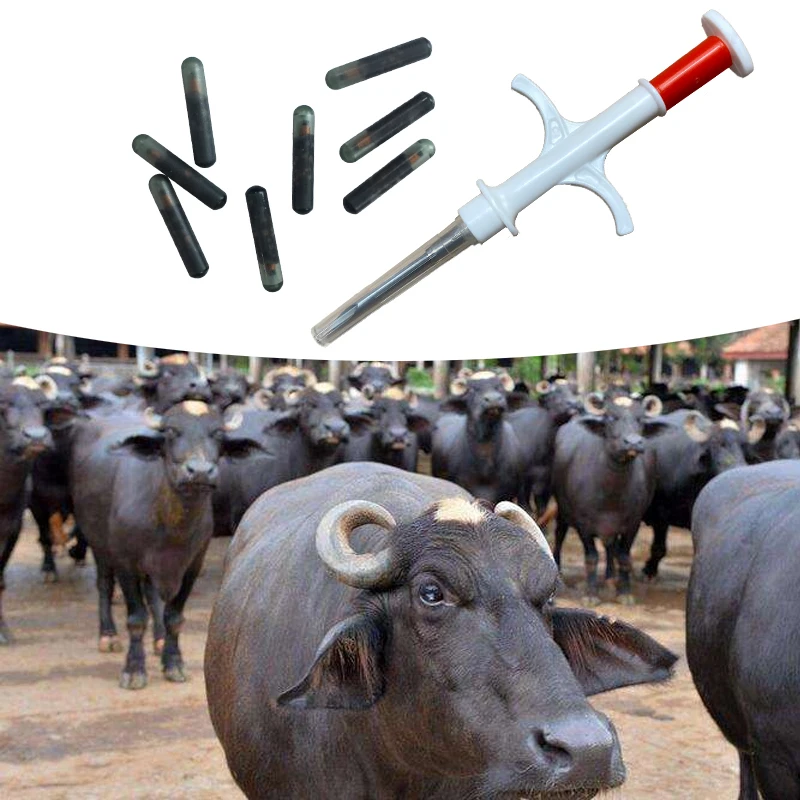 10pcs 2.12x12mm RFID Glass tag ISO11784/5 FDX-B 15digits animal microchip for buffalo identification +1pc syringe as free sample