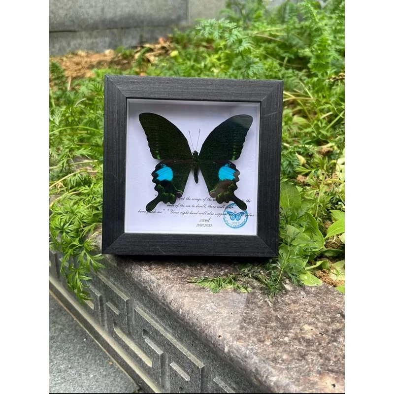5‑Inch Square Shadow Box Framed Butterfly,Handmade Artwork,Wall Hanging&Tabletop Ornament,Birthday Holiday Gift for Home Decor