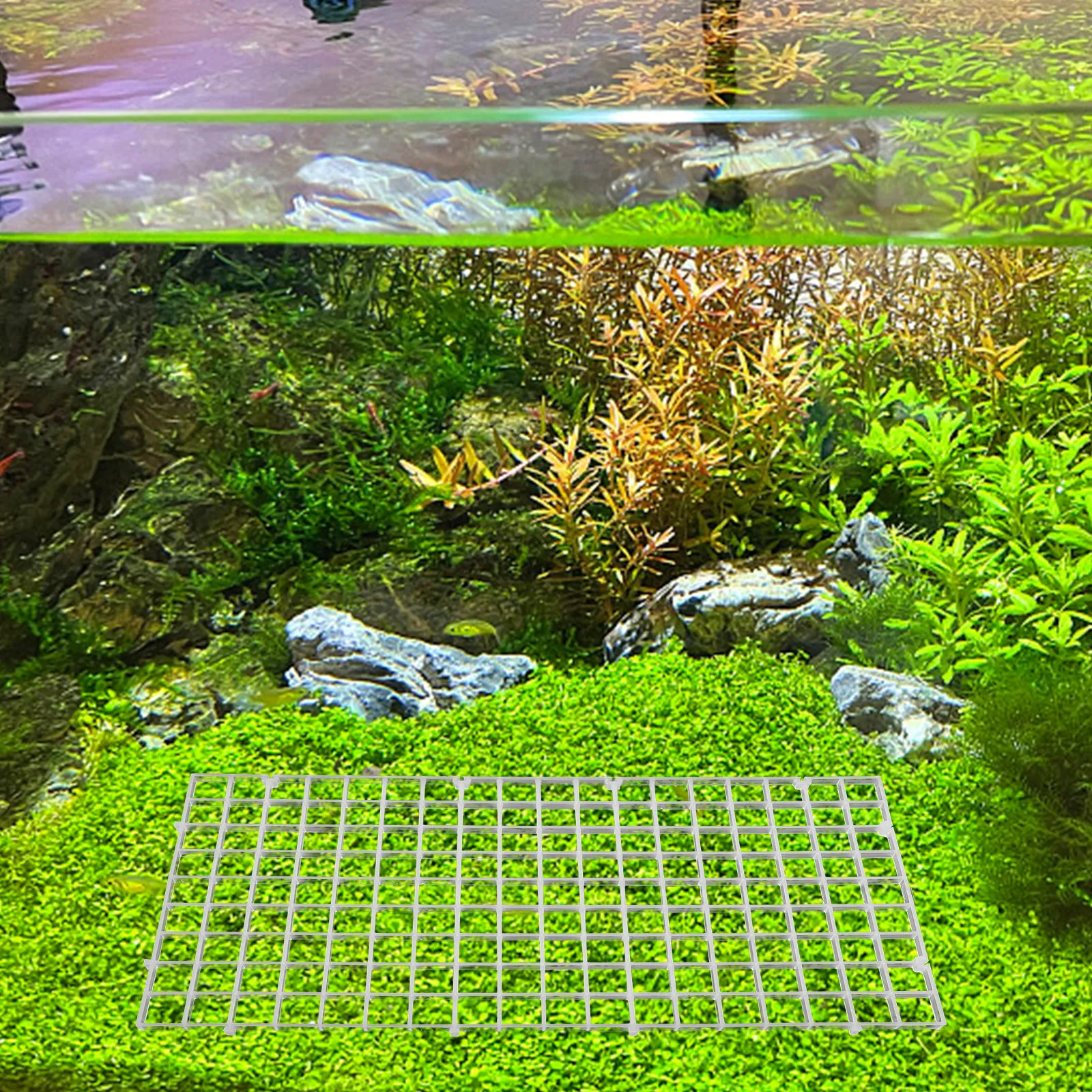 

Набор из 10 разделительных решеток для аквариума из высококачественного пластика для безопасного разделения рыб и повышения их выживаемости, изоляция в аквариуме