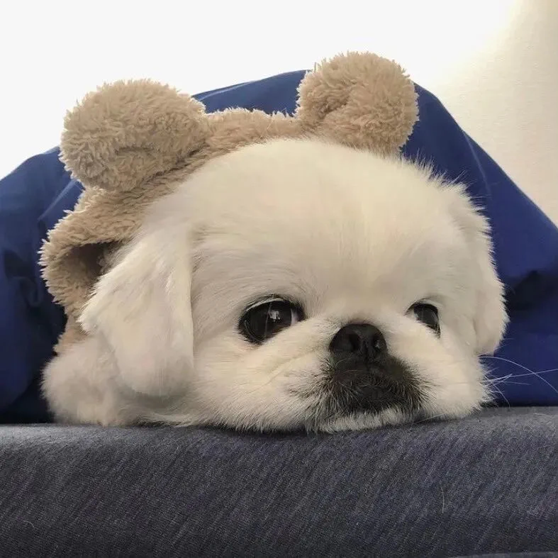 

4 шт. внедорожных шин 135x55 мм с адаптером 17 мм - универсальные для шорт-корс-траков 1/7/8, MOJAVE и других радиоуправляемых моделей автомобилей