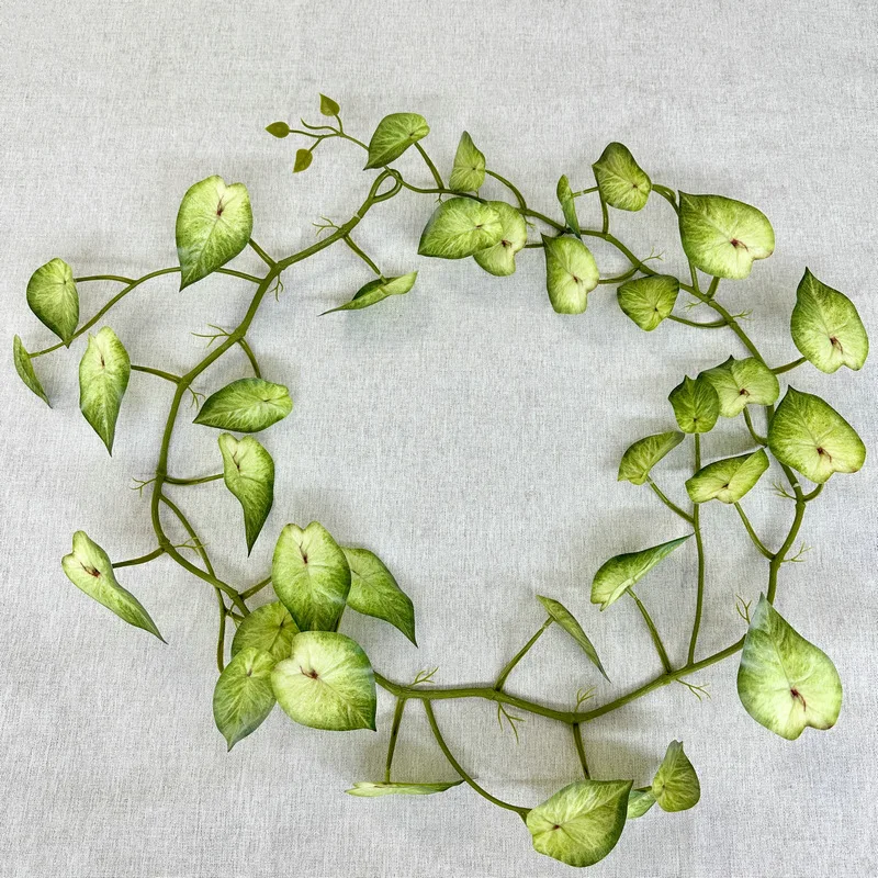 Green Aloes 1.8M Pl…