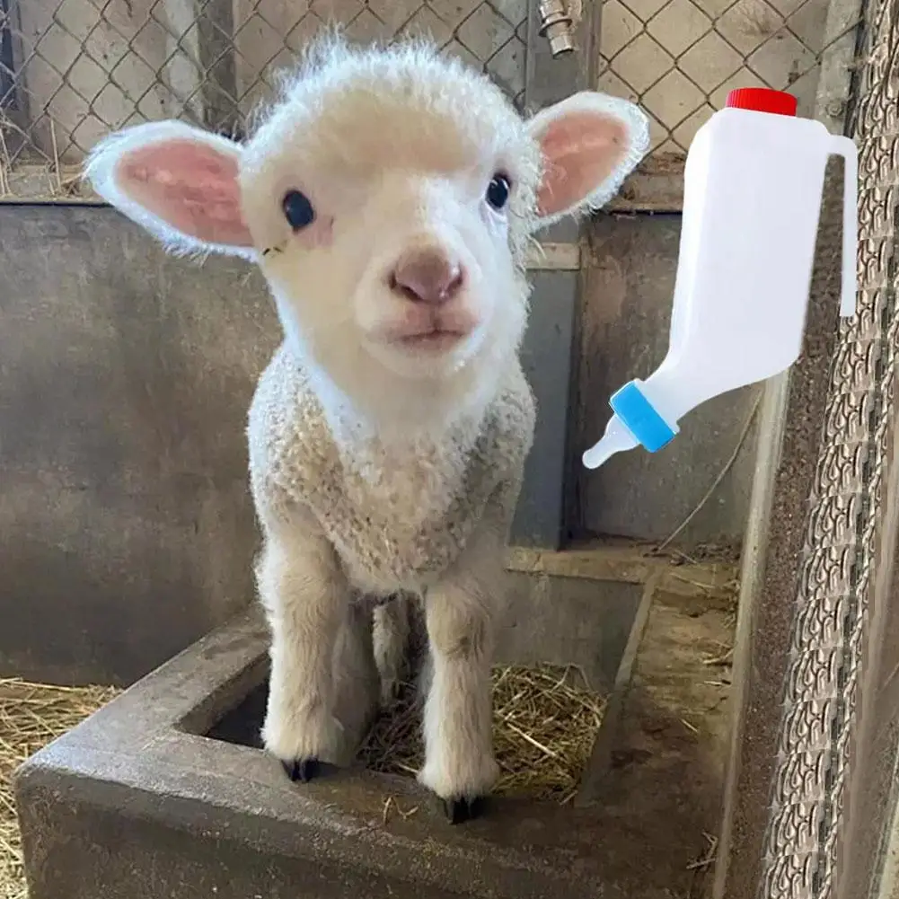 800ml Premium Farm Animal Feeding Bottle, Inverted Lamb Milk Pot with Handle, Veterinary Nursing Bottle for Sheep & Piglets