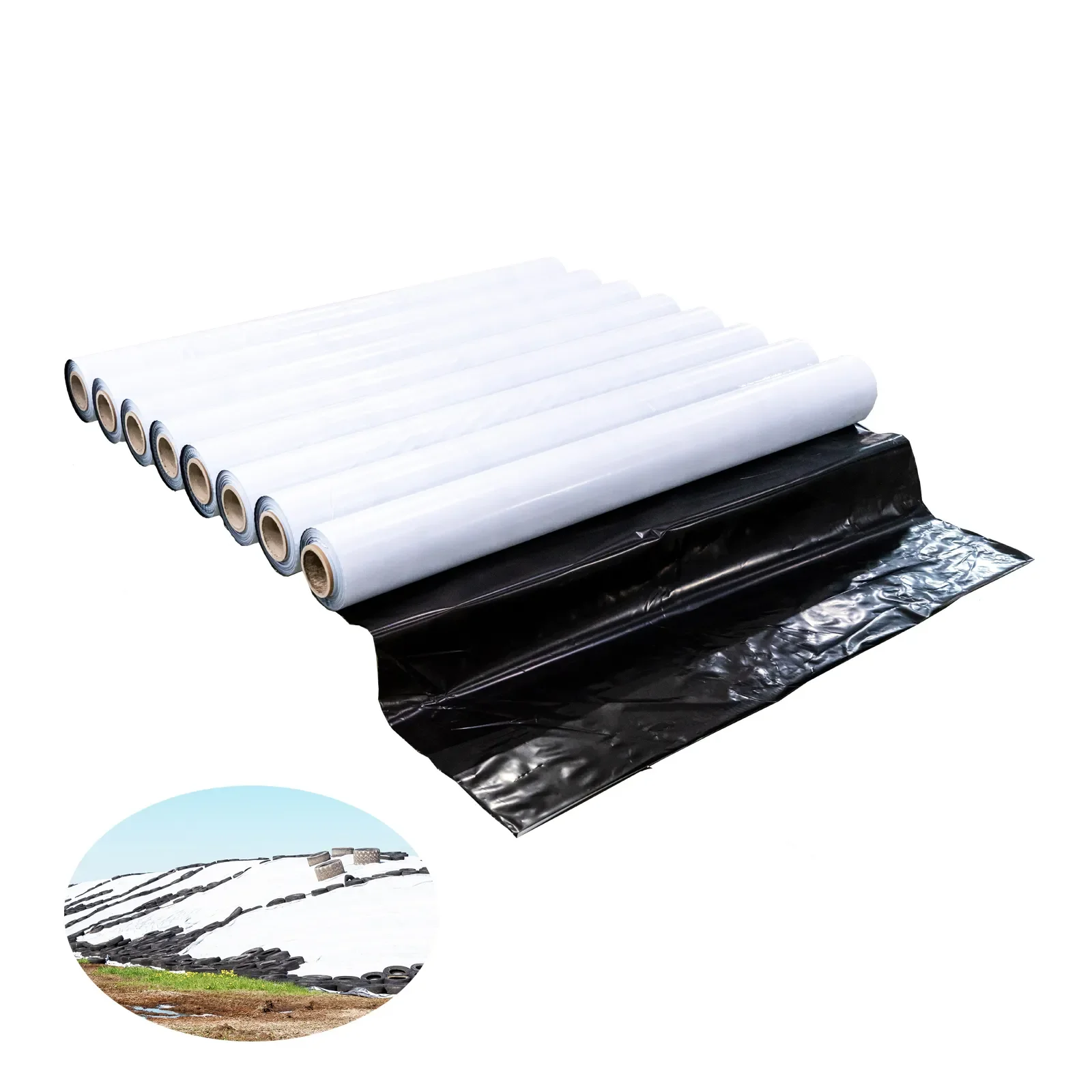 

5.5 Mil 6 Mil Thick 10 X 100 Polyethylene Black and White Film Agriculture Silage Cover Film Plastic Sheeting Roll