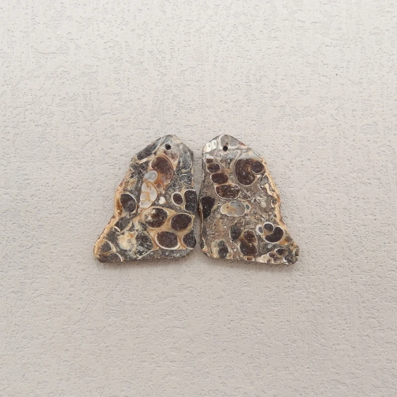 

Серьги-бусины из натурального аммонита, полированные камни ручной работы для изготовления ювелирных изделий, 30x24x3 мм, 8,3 г