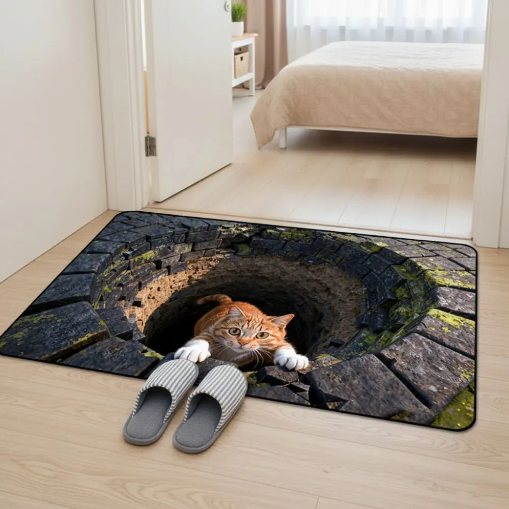 3D Flat Optical Illusion Doormat Water-absorbing Abrasion-resistant Bathroom Carpet Durable Non-slip Bedroom Door Rug Home