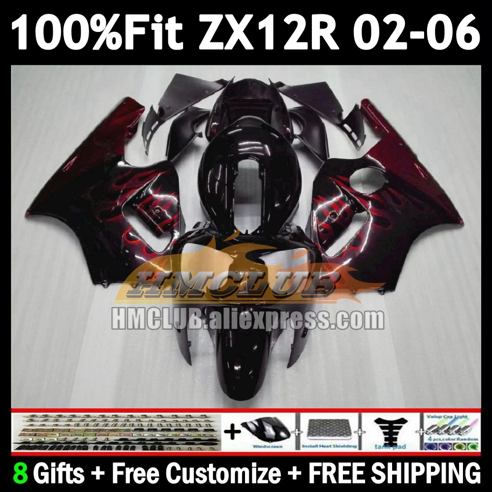 Injection For KAWASAKI NINJA red flames ZX 12R 12 ZX-12R 2002 2003 2004 2005 2006 177No.4 1200CC ZX12R 02 03 04 05 06 Fairing