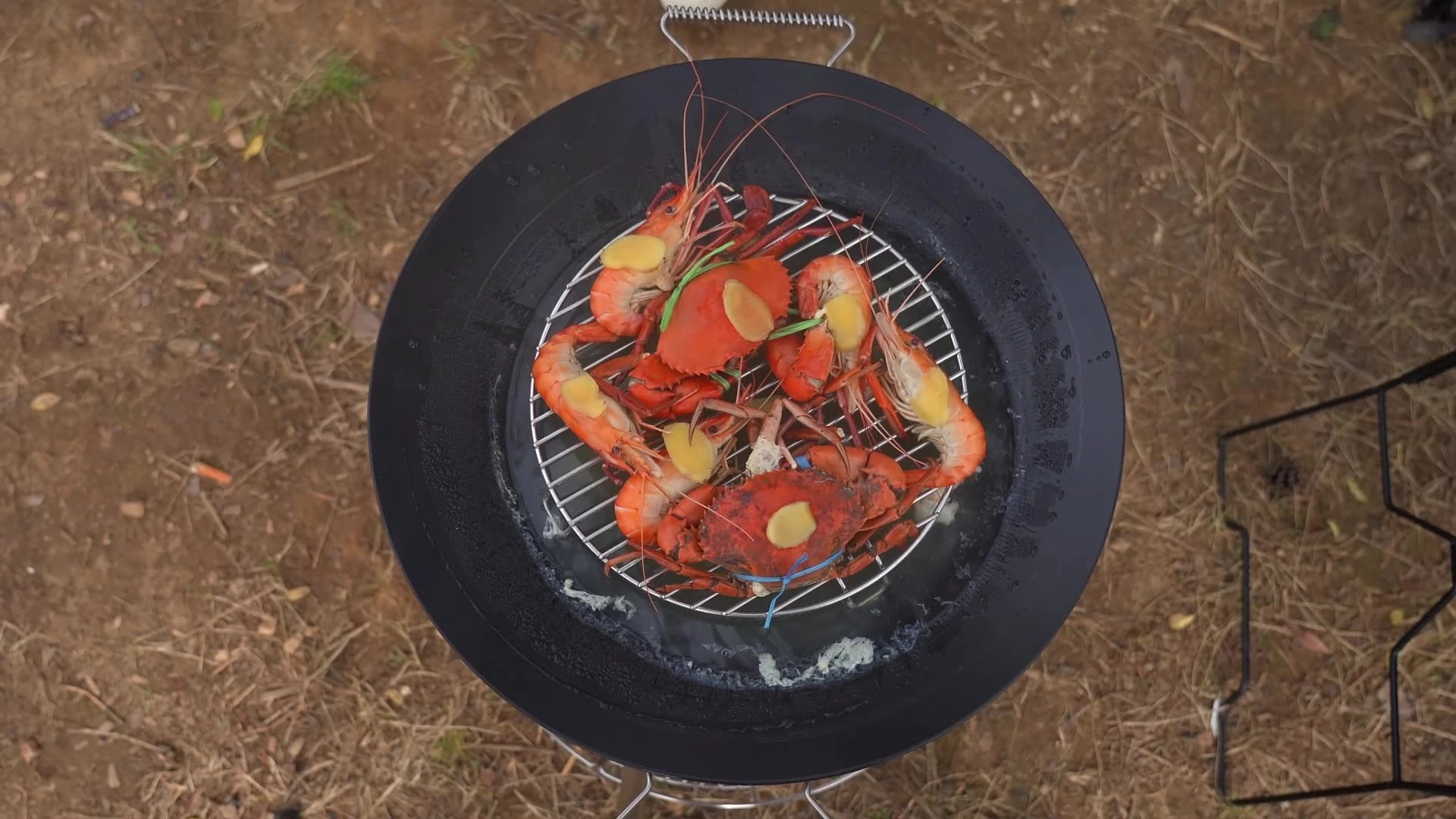 Campingmoon W27 Dut…