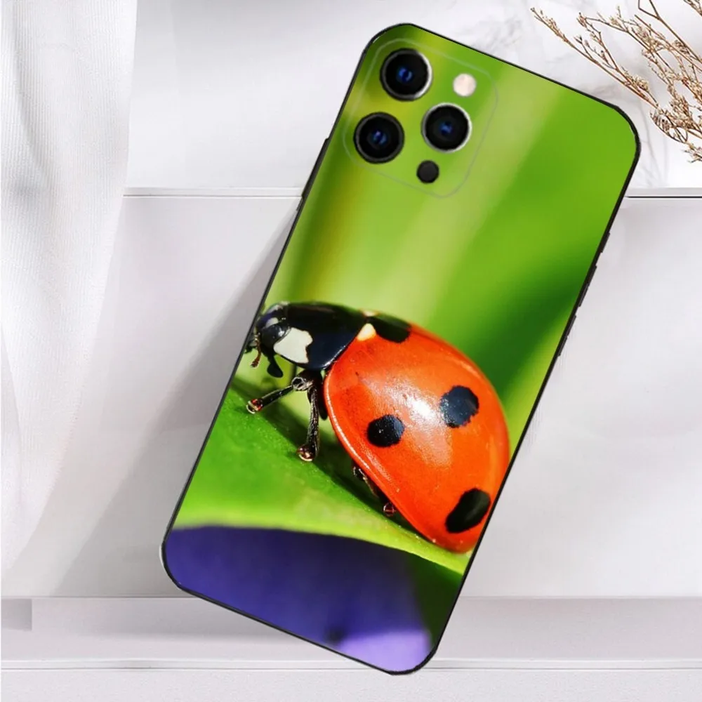 Insect Ladybug Phone Case For iPhone 16,15,14,13,12,11 Plus,Pro Max,XS,X,XR,SE,Mini,8,7 Soft Silicone Black Cover