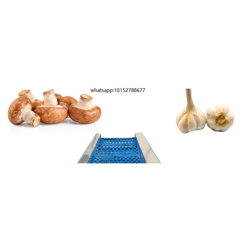 Multi-Function Fruit Vegetable Grading Sorting Equipment