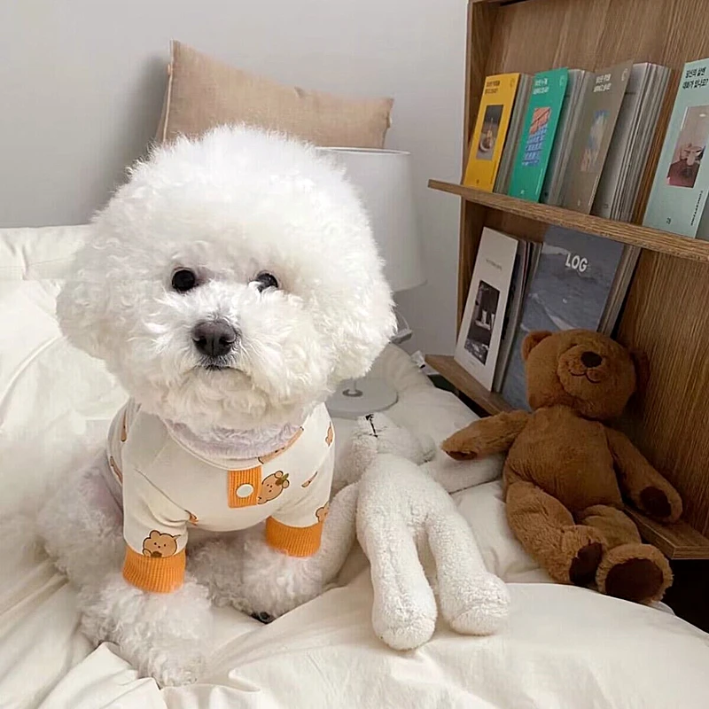 

Autumn Teddy T-shirt Warm Dog Clothes Poodle Soft Bottoming Shirt Bear Print Pullover Cartoon Two Legged Clothing XS-XL