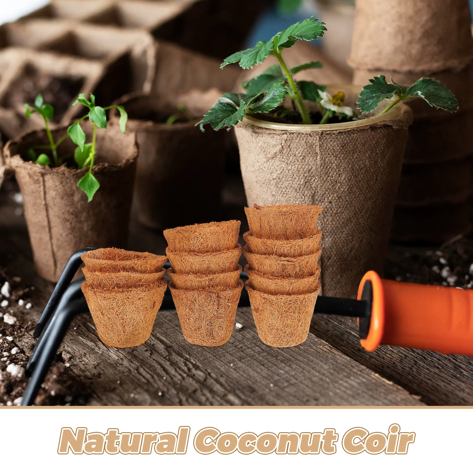 12Pcs Natural Coconut Fiber Liner Plant Pot Basket for Succulents Small Flower Containers Breathable Root Growth Coir Planter