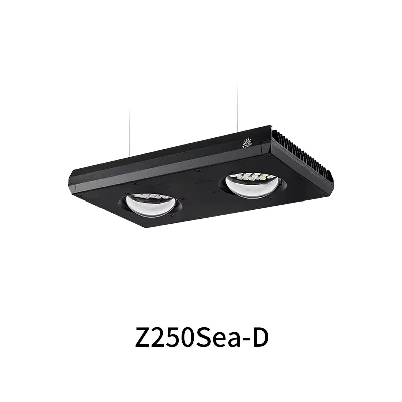 AliExpress