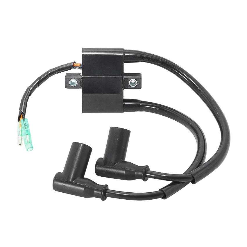 OEM:3005-170 Motorrad-Zündspule für Arctic Cat Bearcat JAG Panther 340 440 370 Z370 Z440 Schneemobil Motorradteil – Detail 1