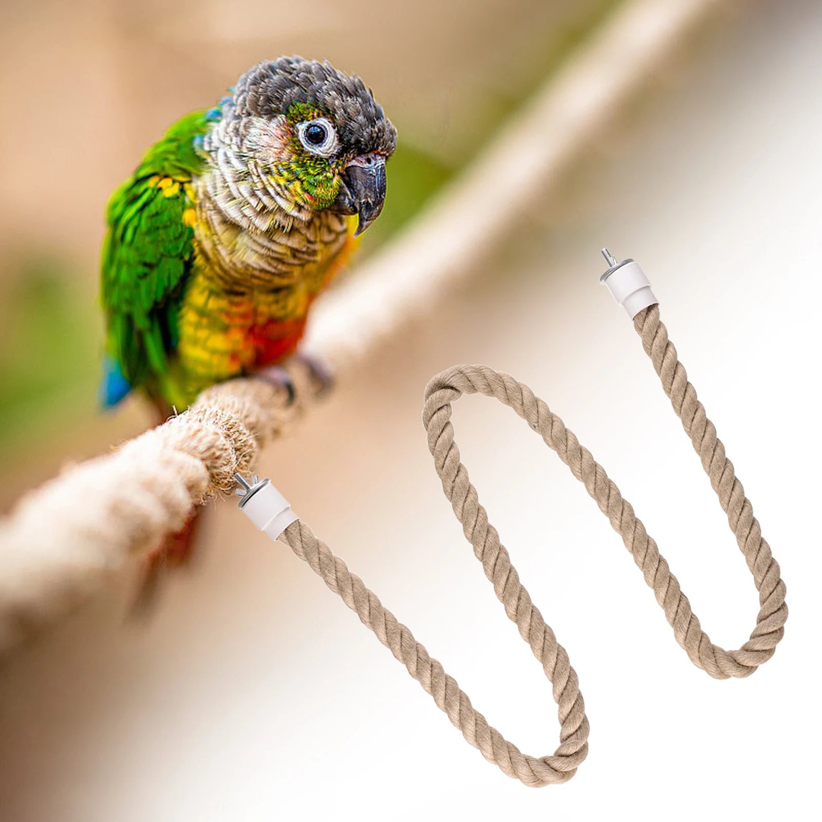 Thumbnail 3 - #21 New Bird Perch Stands Arrivals