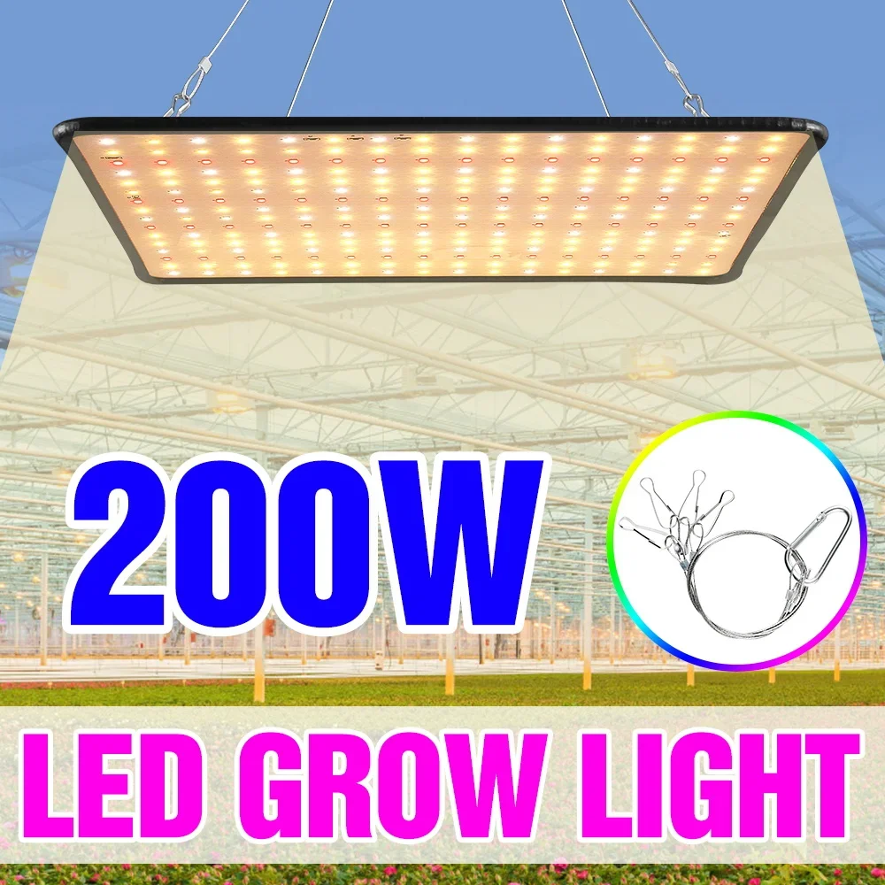 200W LED Full Spectrum Grow Lights Quantum Board Hydroponics Lamp US/EU Plug For Indoor Flower Greenhouse Seed Flower Vegetables