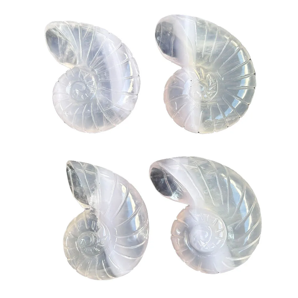 Natural Fluorite Nautilus Shell Figurine - 7.5cm Hand-Carved Crystal Sea Creature Statue for Collectible Decor