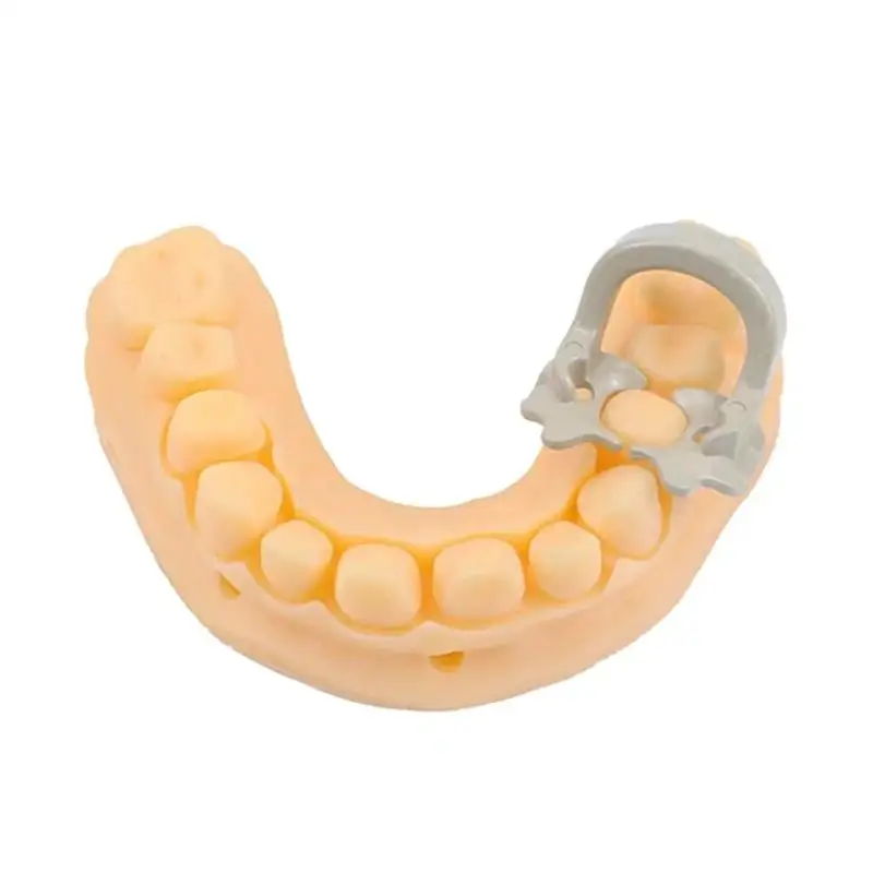 Hochwertige 4 Stück/Box Dental-Damclips, Harzbarriere-Klammern, Gummi-Sektionalmatrixband, Molarenclips, Dental-Gummidam-Clips – Detail 5