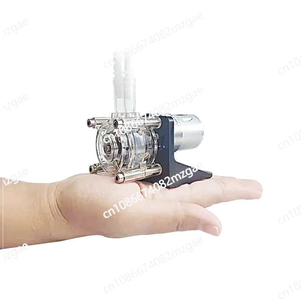 

12 В/24 В дозирующий насос, вакуумный перистальтический насос с высоким расходом 500 мл/мин, простой в установке перистальтический насос