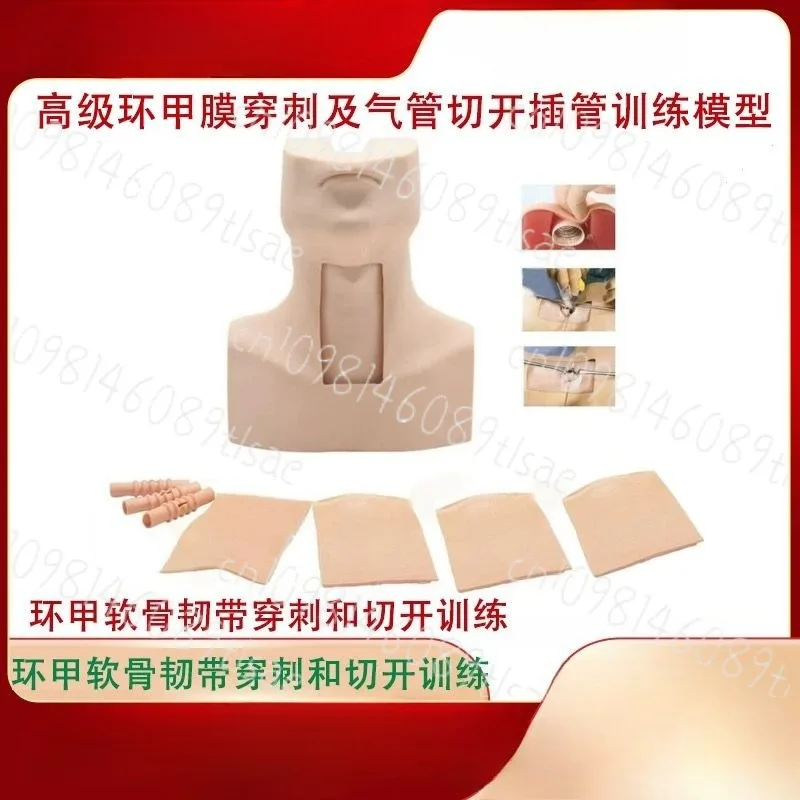 

PVC Tracheostomy Simulator Model Tracheotomy & Cricothyrotomy Training Manikin