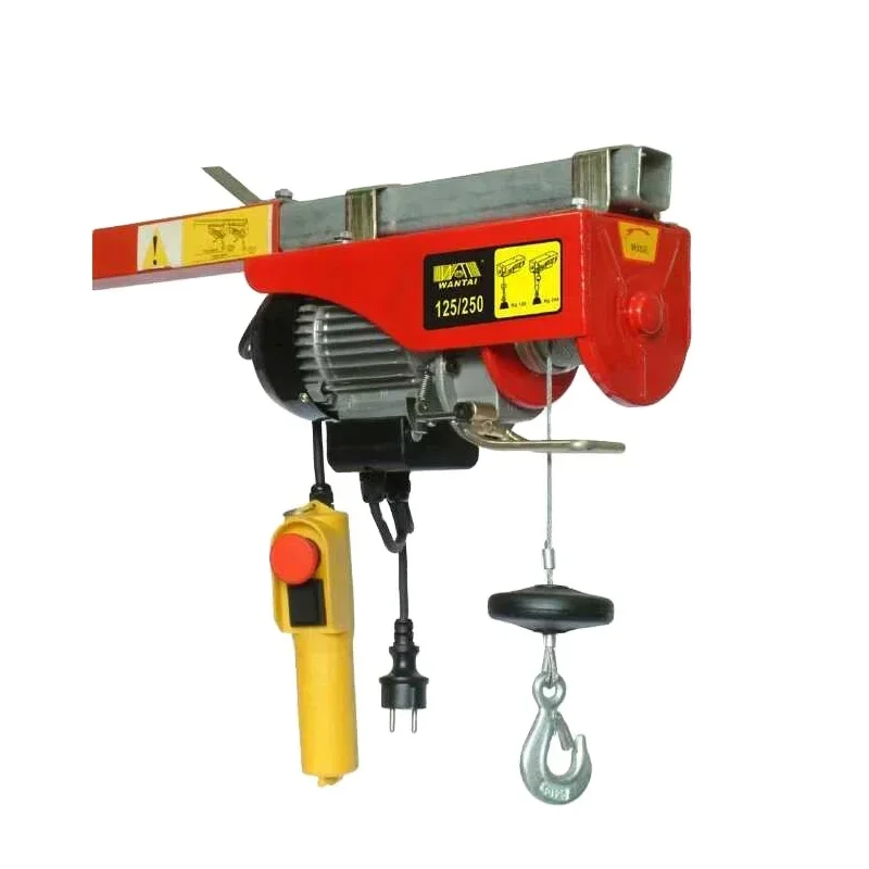 

PA Type Mini Electric Hoist 100 Kg With Wire Rope