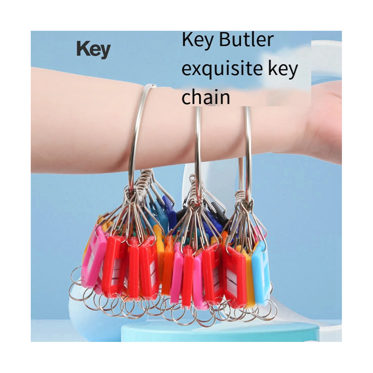 Portable Metal Ring Key Organizer with 10 Spring Hooks & Key Tags with Ring and Label Window