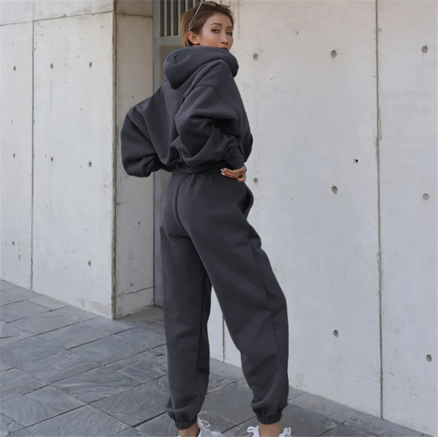 Frauen Sport zweiteilige Sets Hoodie Hose einfarbige Kapuzen hose Outfits Sweatshirt Anzug Herbst Winter Trainings anzug