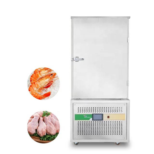 10 Trays Fast  Small 220L Seafood Cake Air Blast Chiller Shock Freezer Chiller Refrigeration Machine  Meat Cabinet