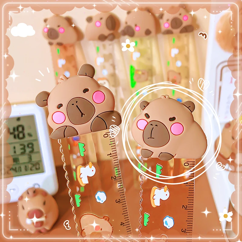 kawaii Aesthetic stationery items school acsesories back to school supply drawing cute capybara Ruler creative cute things