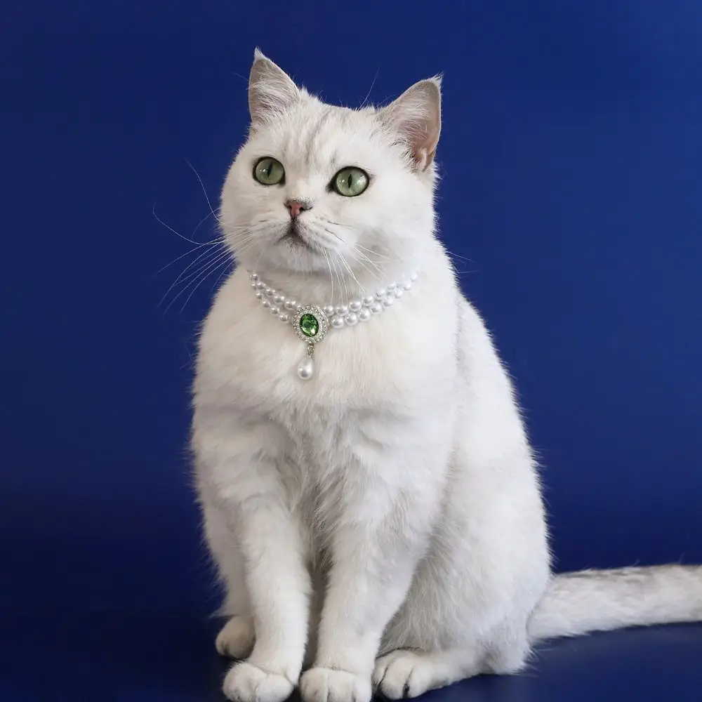 

Pet Accessories Double Layer Pearl Pet Necklace Sweet Flower Pendant Pet Pearl Collar Adjustable Dog Princess Necklace Wedding